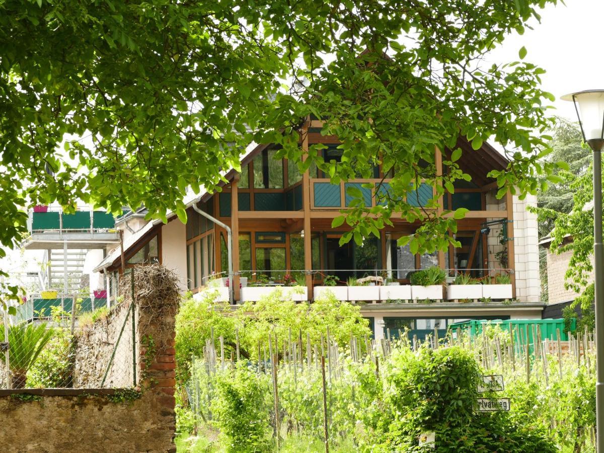 Katrin-Cara Mia Ferienwohnung Trittenheim Exterior photo